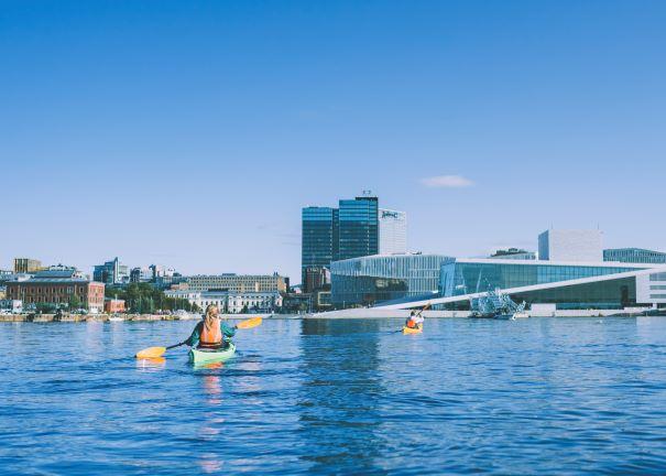 Friluftshuset